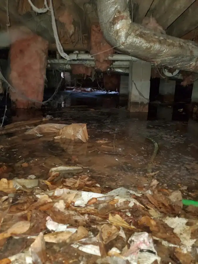 Crawl space flood assessment for Leak Detection & Repair in Canyon Lake